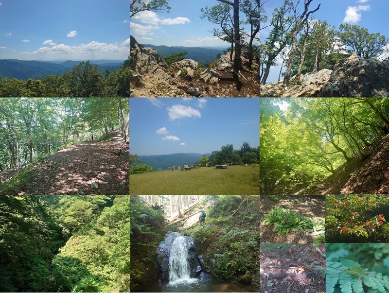 中古】 播磨ハイキングを楽しむ 植物群生地、渓谷、城跡、低山